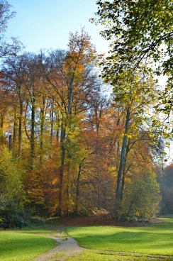 Parcours 2024 Arquennes 010