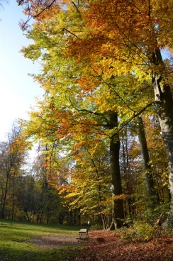 Ecaussinnes 2023  (10)