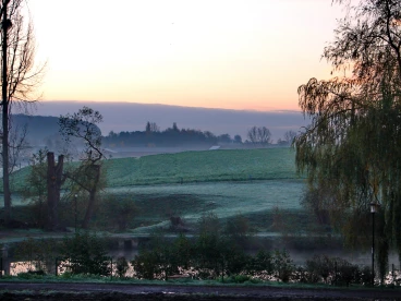 Martel pelemele  2020-11-20 09-10-59 33