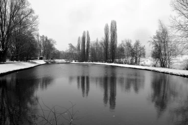 Martel pelemele   12