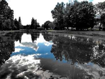 Martel pelemele  2020-06-18 17-39-34 25