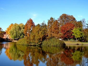 Martel pelemele  2022-10-21 15-34-56 52