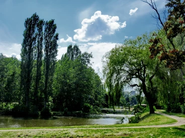 Martel pelemele  2019-06-18 16-07-31 21