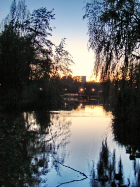 Martel pelemele  2020-11-06 18-39-32 31