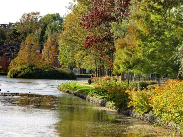 Martel pelemele  2020-10-21 15-34-48 27