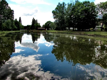 Martel pelemele  2020-06-18 17-39-34 24