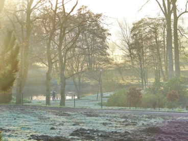 Martel pelemele  2020-11-20 10-06-53 38