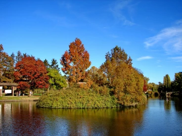 Martel pelemele  2022-10-21 15-32-07 51