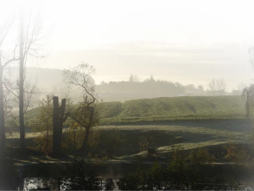 Martel pelemele  2020-11-20 10-06-45 36