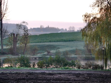 Martel pelemele  2020-11-20 09-11-06 34