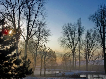 Martel pelemele   14