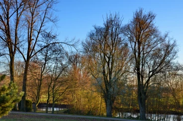 Martel pelemele  2016-11-28 16-40-58 02