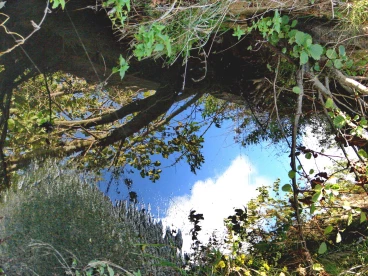 Martel pelemele  2022-10-06 17-37-49 49