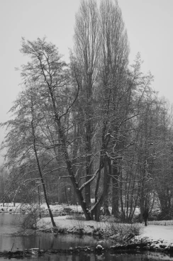 Martel pelemele   13