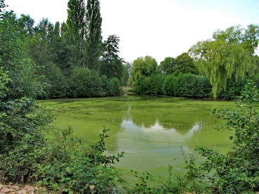 Martel pelemele  2022-08-18 13-48-12 48