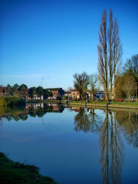 Martel pelemele  2008-12-07 11-52-01 01