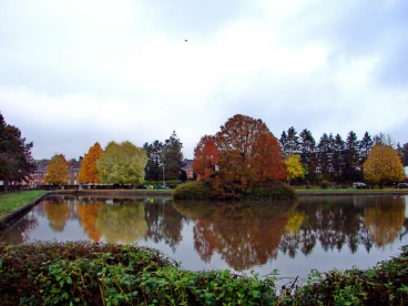 Martel pelemele  2021-11-04 13-16-48 43