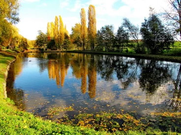 Martel pelemele   05