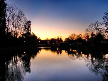 Martel pelemele  2020-11-06 18-36-05 29