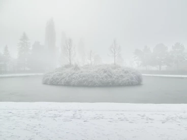 Martel pelemele  2017-01-02 12-26-18 03