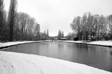 Martel pelemele   10