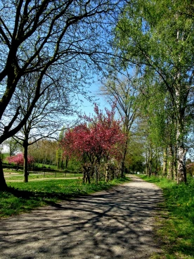 Martel pelemele   19