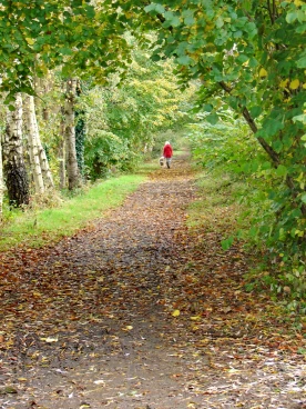 Martel pelemele  2021-11-04 13-33-07 47