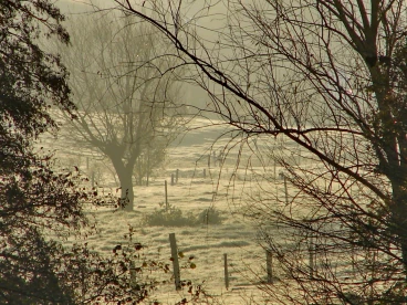 Martel pelemele  2020-11-20 10-07-22 40