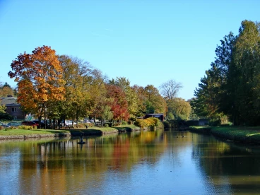 Martel pelemele  2021-10-28 12-23-09 42