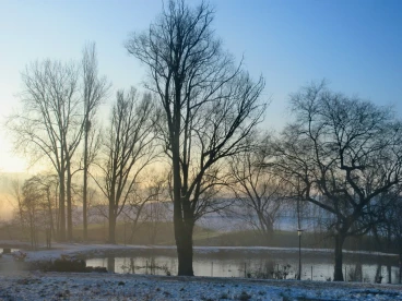 Martel pelemele   16