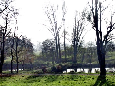 Martel pelemele   23