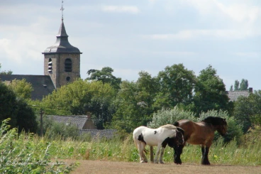 Hennuyeres 27-08-22 12-02-15