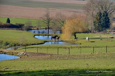 Hennuyeres 08-03-15 12-26-49