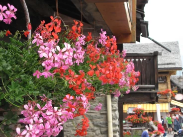 20250225111725-fbccc05b