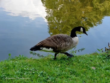 Martel septembre2021    (3)