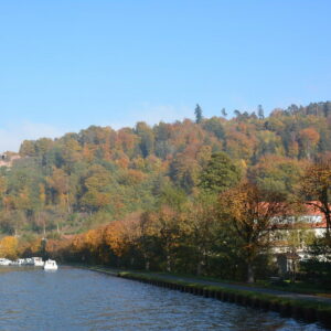 Arzviller - Arzviller_CHB_ 13