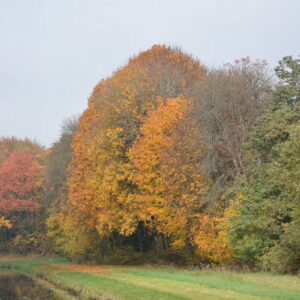 Arzviller - Arzviller_CHB_ 14