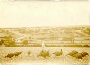village - VieuxRonquieres001 - Une très vieille carte postale de Ronquières qui semble dater du 19eme siècle. A l'avant-plan, les dindons de Ronquières qui ont fait la renommée de l'endroit