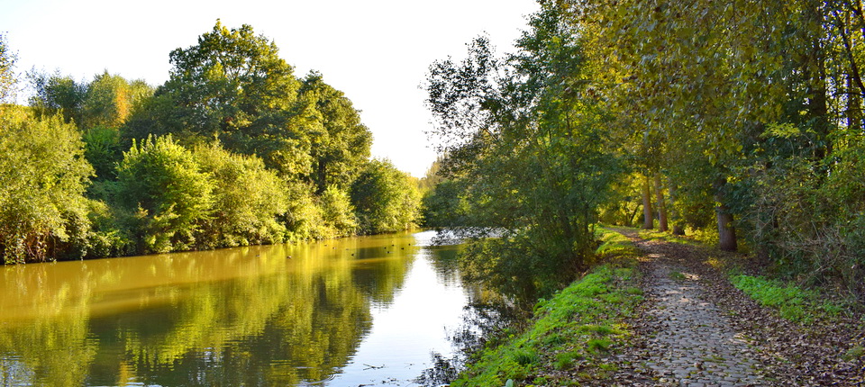 Le vieux canal le 08 octobre 2021