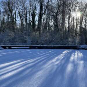 Hiver - Canal Halage Janvier 2026 B