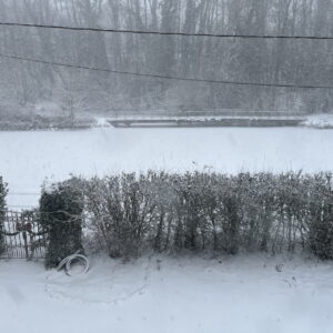 Hiver - Canal Halage Janvier 2026 C