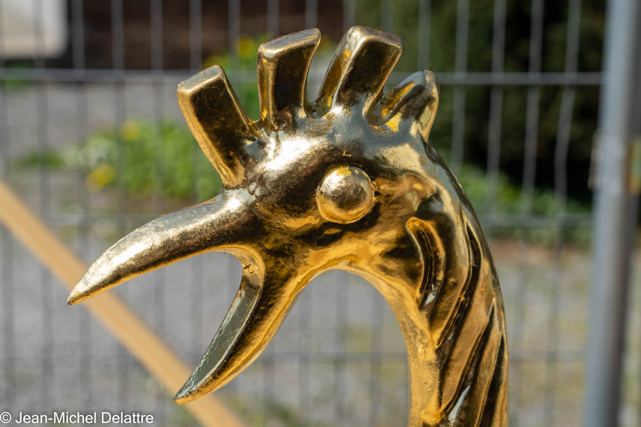 Avril2022 - Oisquercq_24042022_ 24