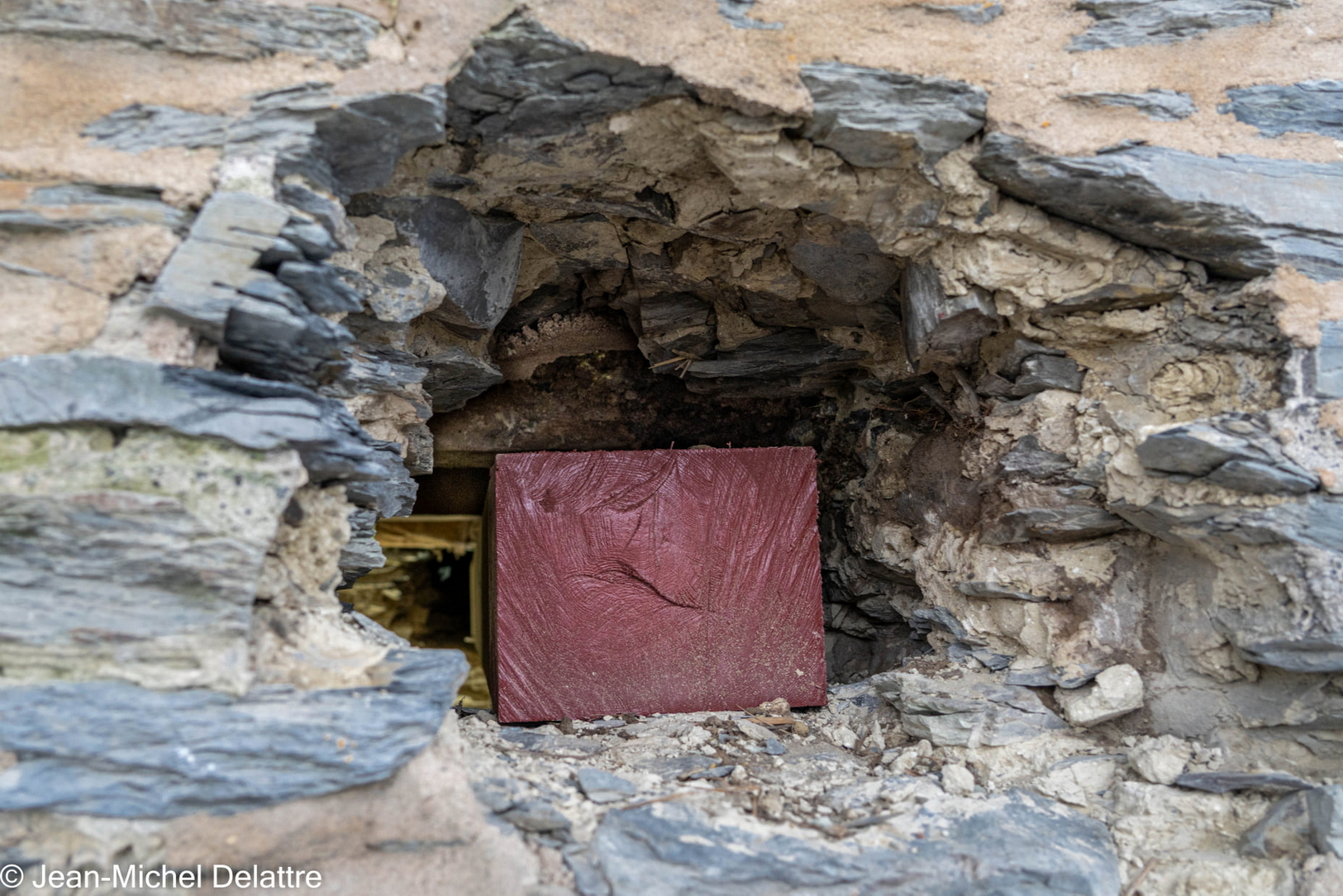 fevrier2022 - Oisquercq_20022022_ 1