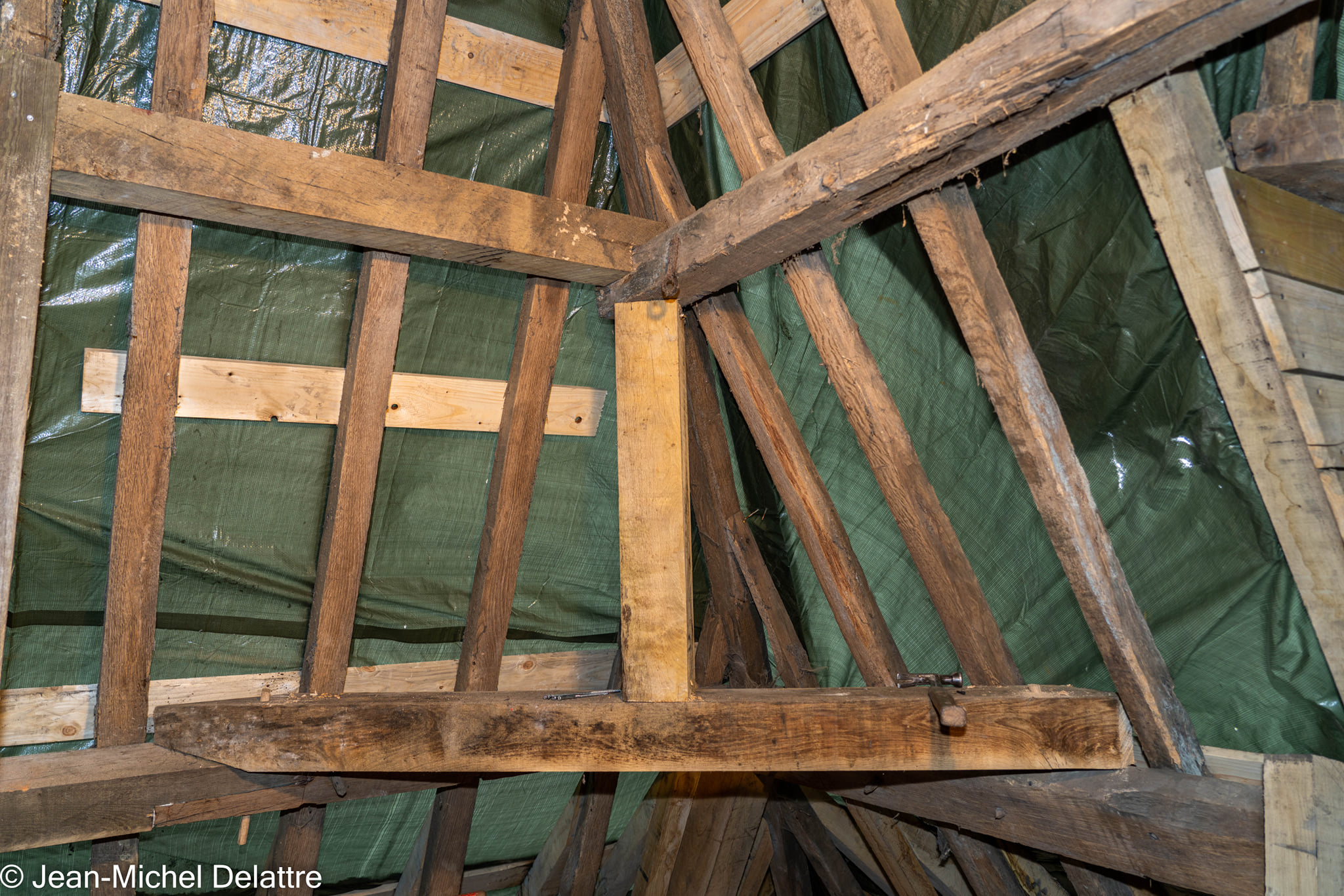 fevrier2022 - Oisquercq_20022022_ 64