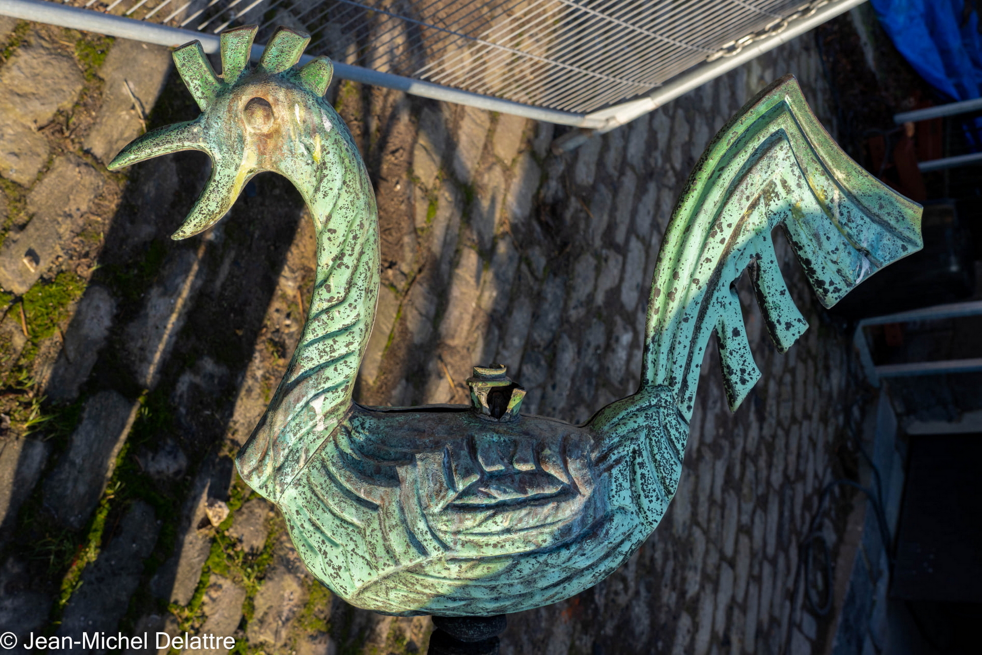 janvier2022 - Oisquercq_16012022_ 37