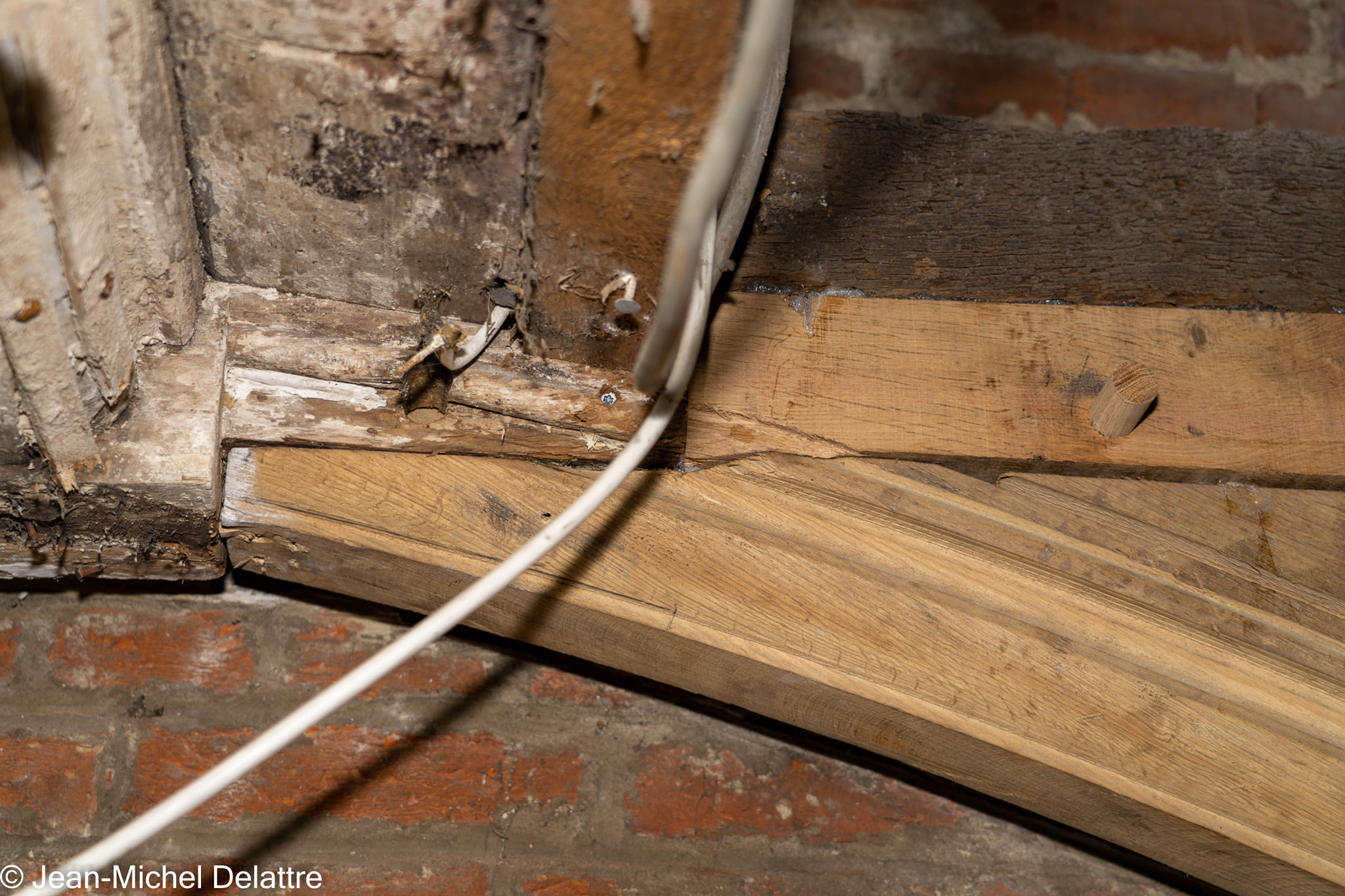 janvier2022 - Oisquercq_16012022_ 39