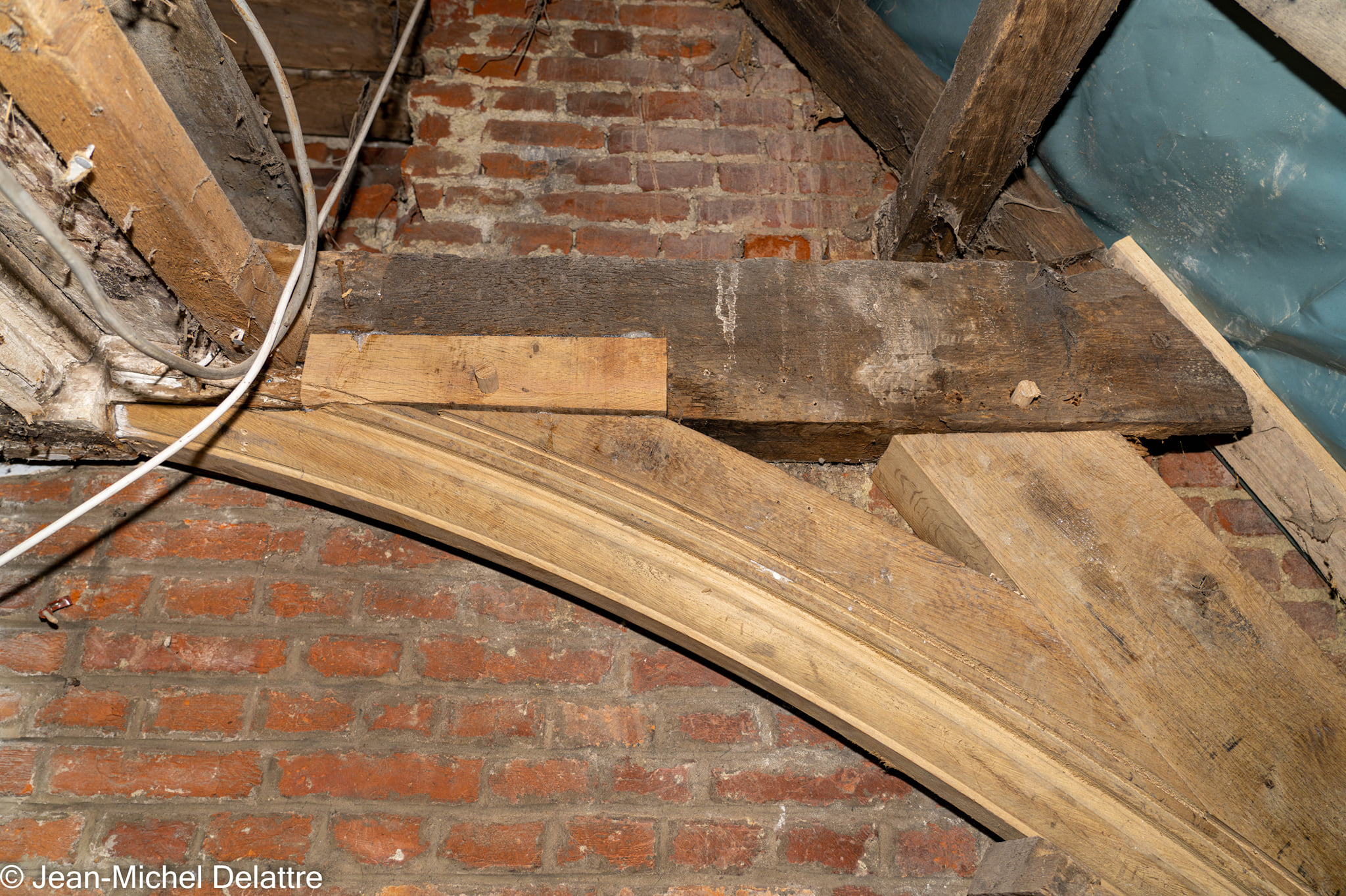 janvier2022 - Oisquercq_16012022_ 42