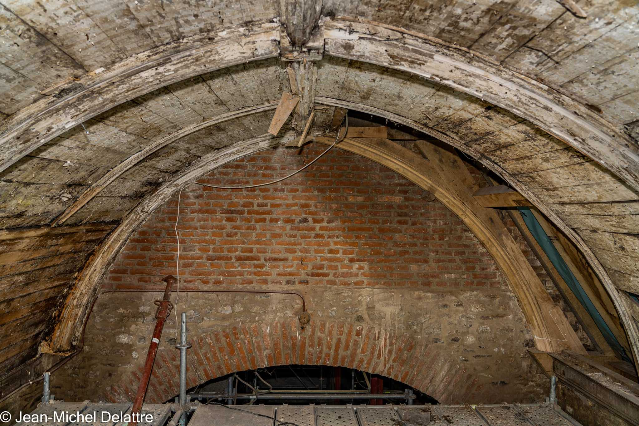 janvier2022 - Oisquercq_23012022_ 11