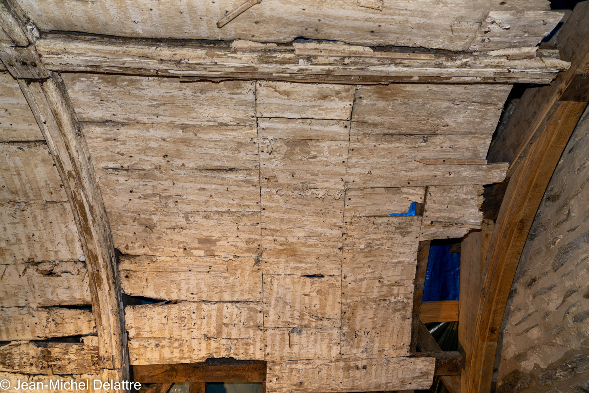 janvier2022 - Oisquercq_23012022_ 12