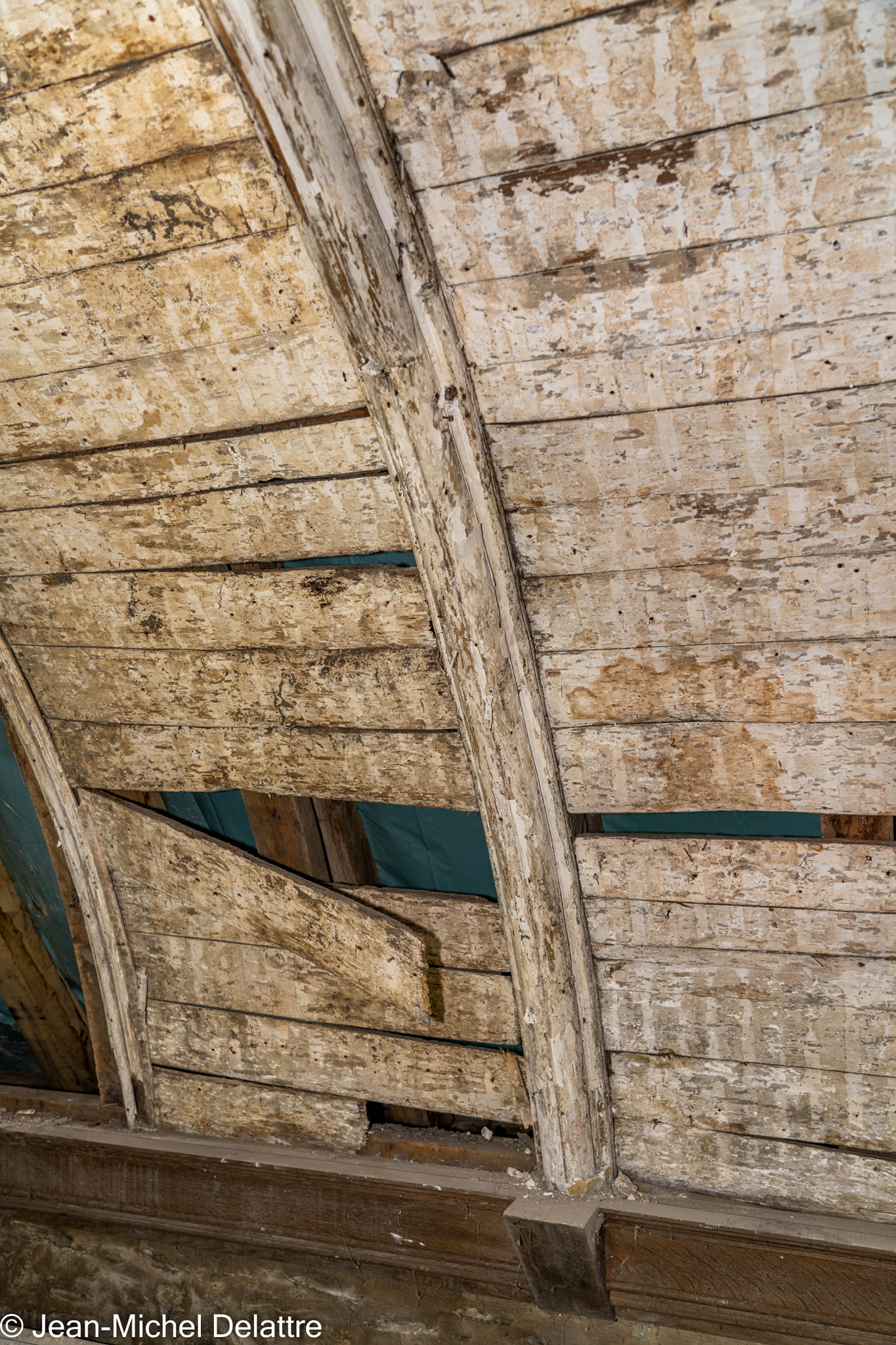 janvier2022 - Oisquercq_23012022_ 19 1